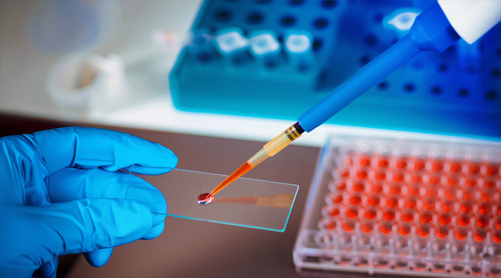 Cancer & Stem Cell Research